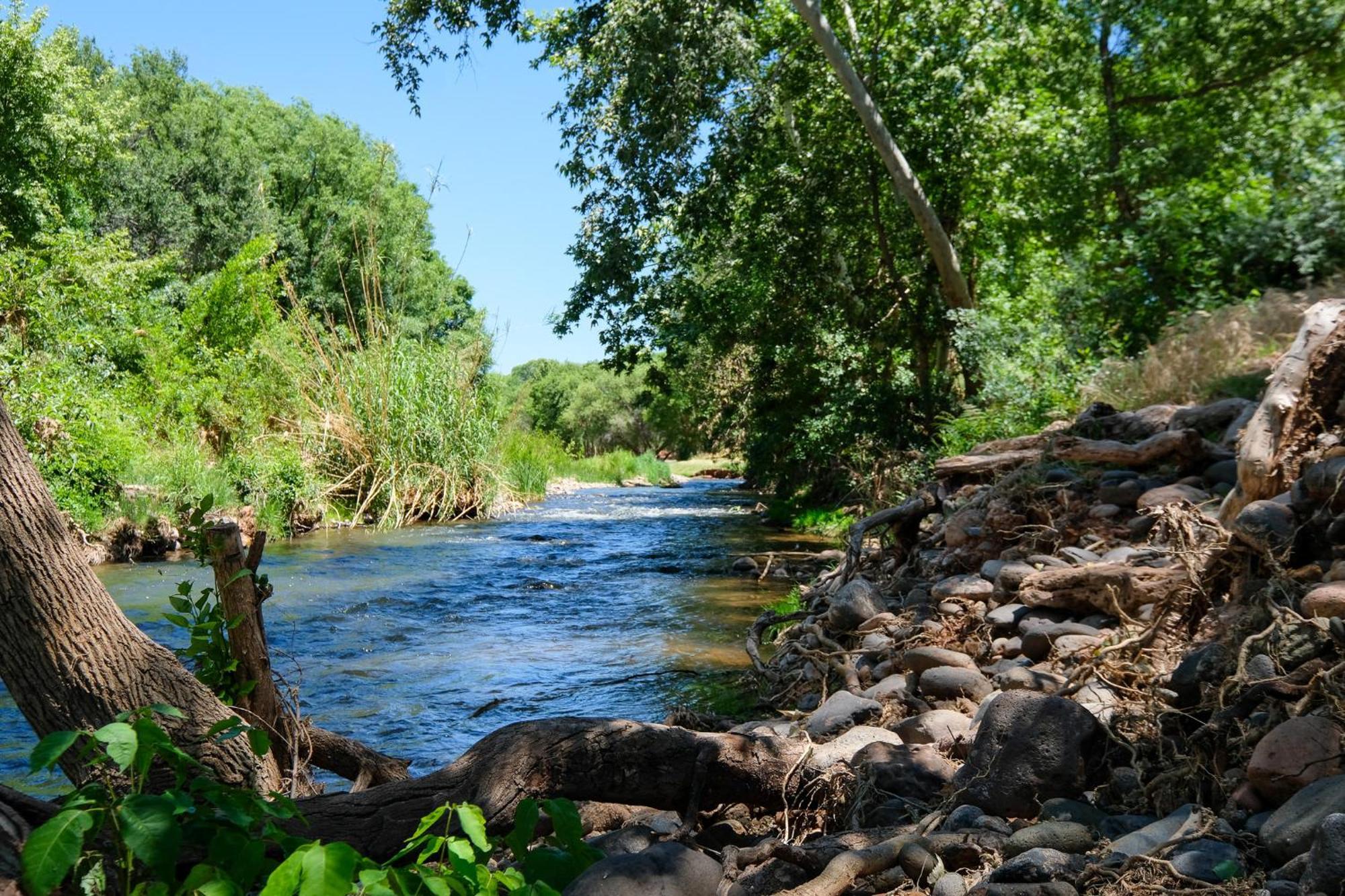 Creek Sanctuary 20 Cooler By The Water Cornville Bagian luar foto